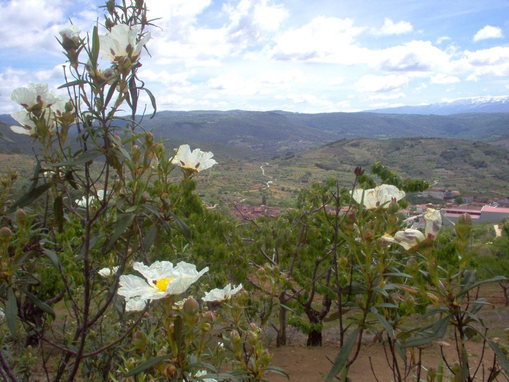 Hotel Rural Sierra De Francia Sotoserrano Zewnętrze zdjęcie